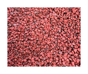 Buen precio, proveedor de semillas de achiote, pigmento rico en Vietnam y sabor auténtico, semillas de achiote para fabricantes de especias - Product Image 1