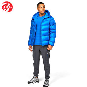 En couleur bleue Impression par transfert de chaleur Veste bouffante Vêtements de style tendance Veste d'hiver ajustée chaude - Product Image 2