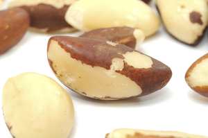 Nueces brasileñas a granel para comercio estable y grandes pedidos. En venta. - Product Image 5