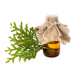 Thuja-Aceite Esencial orgánico puro para el cabello y la piel, aceite esencial 100% puro, OEM / ODM