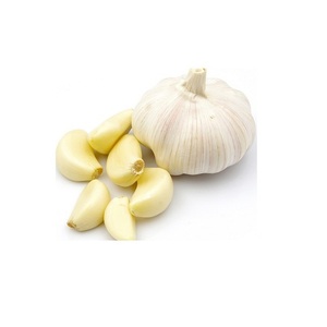 Wholesale Normal White <b>Fresh</b> Garlic - Product Image 2