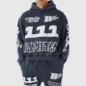 OEM 2025 High Quality 100% Cotton Gym Sportswear Breathable Fleece Casual Streetwear Custom Logo Solid Style Winter XL Size - Product Image 3