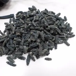 High Quality Dried Sea Cucumber for Sale