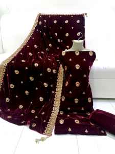 Terciopelo pakistaní mujer ropa hermosa Nakshi Dabka pakistaní mujeres vestido de novia invierno última colección paquistaní - Product Image 6