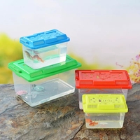 Petits terrariums en plastique pour crabes ermites et lézards