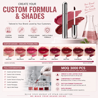 Gloss à lèvres peel-off multi-couleurs à marque privée, rouge à lèvres liquide minéral avec crayon à lèvres – Vente en gros