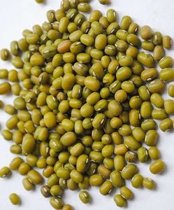 Ordene Frijoles Mung Verdes Naturales Frescos a Granel - Product Image 6