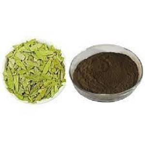 Poudre d'extrait de feuille de Senna Alexandrina cultivée sauvage Supplément à base de plantes de feuille d'ortie de qualité alimentaire 1 Kg Tambour HPLC 24 mois de conservation