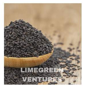 Semillas de sésamo negro a granel Nigella Seeds Til Seeds Exportador y proveedor de productos agrícolas de alta calidad fabricante de sésamo negro - Product Image 2