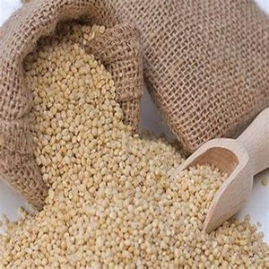 Semillas de Colza (Grano de Colza) de Grado Industrial para la Producción de Goma Guar de Alta Calidad a Precios Moderados - Product Image 1