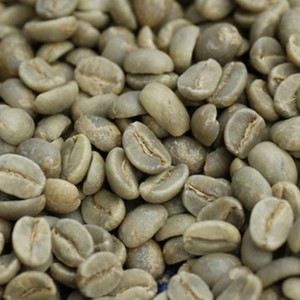 AGRICULTURAL WHOLESALE EXPORT NATURAL GRADE 1 VIETNAMESE <b>ROBUSTA</b> GREEN <b>COFFEE</b> <b>BEANS</b>, SCR16 SCR18 UNWASH CLEANED WET POLISHED - Product Image 1