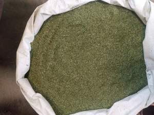 Extracto de hoja de Moringa salvaje T-Cut Premium | Producto de hierbas naturales | Precio al por mayor - Product Image 6