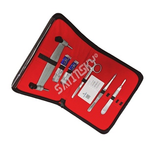 ฟันหมาป่าหลายขนาด6ซี่ทำจากสเตนเลสอุปกรณ์สัตวแพทย์ - Product Image 2