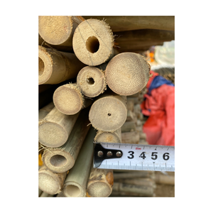Treated Bamboo For Outdoor <b>Garden</b> From Vietnam / Bamboo Pole Bamboo <b>Canes</b> For Fences Partitions Decor - Product Image 6