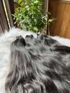 มัดผมลอนธรรมชาติแบบไม่ไหลออกมาพร้อมลูกไม้แบบไม่ผ่านกระบวนการความละเอียดสูงสำหรับต่อผมหยักศกธรรมชาติที่ด้านหน้า - Product Image 2