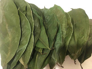 ใบกระพรุนอบแห้ง/ใบกราวิโอลา/ใบหญ้าขายส่งคุณภาพสูงจากเวียดนาม - Product Image 3