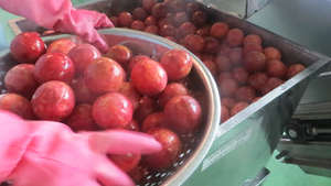 เสาวรสที่ยั่งยืน-ห่วงโซ่อุปทานที่น่าเชื่อถือ - Product Image 2