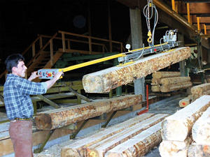 Splendide qualité Ergonomique VacuWood VWB Manipulation Aspirateur Lifter Meilleur prix en vente - Product Image 4