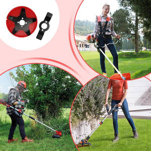 Dischiere per Sarchiatura Elettrica Multifunzione - Ricambi e Accessori Premium per Tosaerba - Product Image 3