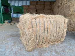 ก้อนใยมะพร้าวมะพร้าวสีขาวบรรจุได้ทุกฤดู - Product Image 4