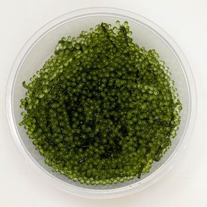 EXPORTATION EN VRAC CAVIAR VERT/RAISINS DE MER DÉLICIEUX DU FOURNISSEUR DU VIET NAM - Product Image 3