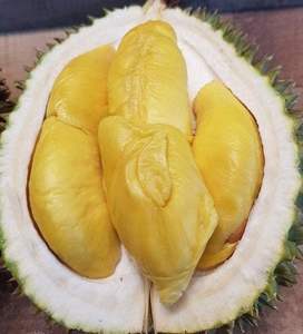 Vietnam's <b>Fresh</b> Durian: New Crop, Premium Quality, Competitive Prices - Product Image 2