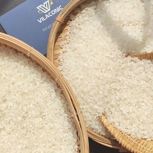 HAUTE QUALITÉ JAPONICA CALROSE KOSHIHIKARI RIZ BLANC À GRAIN COURT TEXTURE DOUX SÉCHÉE IRRI pour TOUS LES MARCHÉS 25KG PP SAC - Product Image 4