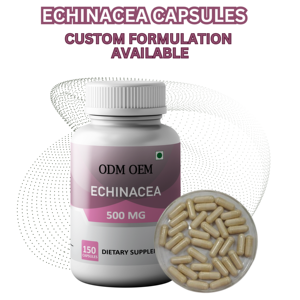 ODM OEM 500mg Cápsula de Echinacea Etiqueta privada Suministro a granel Etiqueta privada Polifenol Ácido de achicoria Cápsulas de extracto de Echinacea - Product Image 3