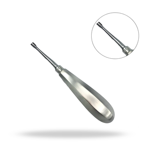 Élévateur dentaire chirurgical à pointe d'aile de 5,6 mm, grande poignée 505, pour extraction dentaire et élévation radiculaire - Product Image 1