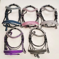 Vente en gros du meilleur harnais de cheval en polyester Bride Halter Endurance équitation course équipement équestre accessoires pliable portable