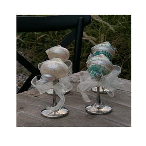 Vasos de conchas marinas hechos con concha de océano y vidrio transparente duradero, perfectos para servir de decoración, origen de Vietnam - Product Image 6