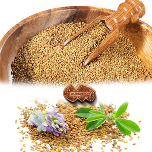 Luzerne | Nutrition sèche à base de plantes | Formule à haute teneur en protéines - Product Image 5