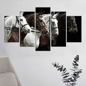 Tableau mural sur toile imprimé avec portrait de quatre chevaux, décoration équestre élégante, lot de 5 toiles assorties - Product Image 1
