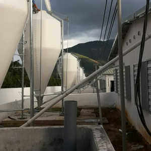Small Feed <b>Silo</b> for Pig Stainless Steel From Vietnam Manufacturer Best Selling Piggery Equipment Pig Farm <b>Silo</b> - Product Image 2