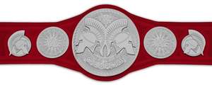 Ceintures de championnat de lutte Trophées Médailles et récompenses le symbole ultime de la victoire et de l'excellence Ceintures de championnat - Product Image 2