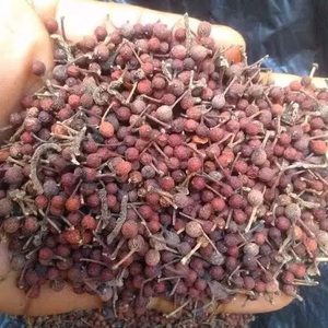 Poivre Sauvage Voatsiperifery de Madagascar Qualité Supérieure en Vrac Naturel Séché Poivre Noir VANILLE HARVEST 24 Herbes Simples Épices - Product Image 1