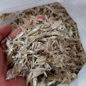 Anchoas Secas en Oferta, Mariscos, Anchoas Secas de Alta Calidad, Mejor Oferta en Anchoas Secas, Anchoas Secas para las Fiestas - Product Image 1