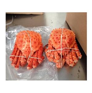 Crabe royal rouge frais de première qualité, stock en vrac, exportations en gros - Product Image 2