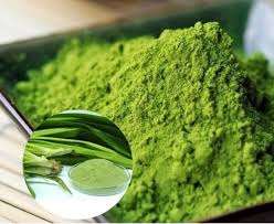 COMPLEXE PANDAN NATUREL LEAFCRAFT - Product Image 6