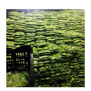 Trozos de aguacate congelado IQF, sin dorar, fácil de mezclar, ideal para batidos, tazones, salsas y fabricantes de alimentos - Product Image 5