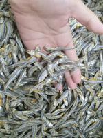Anchois séchés Petits poissons transformés de qualité supérieure pour applications culinaires et emballage au détail Vietnam