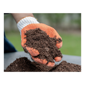 Tourbe disponible à prix de gros réduit pour l'agriculture et l'aménagement paysager - Product Image 1