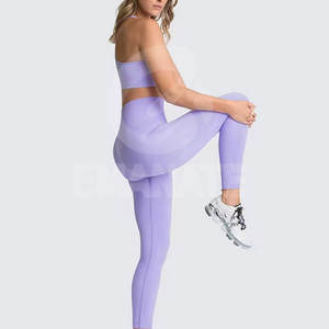 Conjuntos de Yoga para Mujer a la Moda, Pantalones Cortos Sólidos, Logotipo Personalizado, Sin Costuras, Antibacterianos, Casuales de Invierno, Precios al por Mayor - Product Image 2