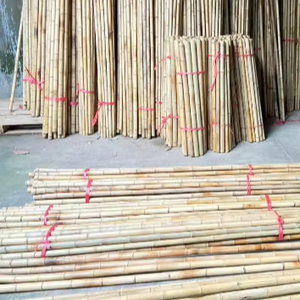 Producto de bambú agrícola vietnamita Arquitectura de paisaje natural al aire libre ecológica - Product Image 2