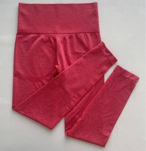 Vente chaude femmes en forme de V taille élastique en nylon sans couture respirant léger Yoga Fitness Leggings - Product Image 6