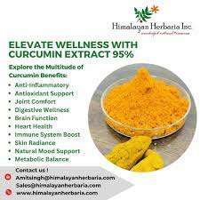 High Quality Red <b>Turmeric</b> Powder Extract Water-Soluble Nano Curcumin Food Grade Herbal <b>Root</b> Packaged in Drum MOP 1kg - Product Image 2