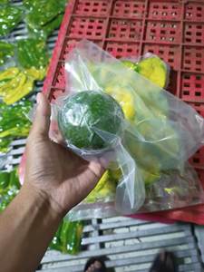 Aguacate congelado de grado superior de Vietnam Textura suave madura Aguacate en rodajas IQF para batidos y exportación de la industria alimentaria - Product Image 4