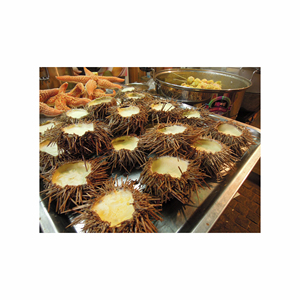 ปลาดาวที่อุดมด้วยสารอาหารมีจำหน่ายในราคาขายส่งที่แข่งขันได้ - Product Image 2