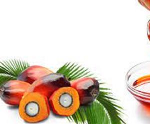 Aceite de palma rojo vegetal 100% refinado 99% pureza envasado a granel para uso culinario - Product Image 1