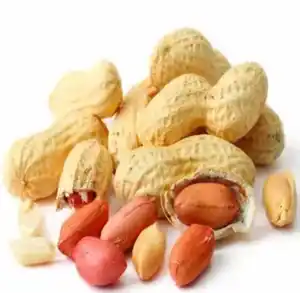 Núcleo de amendoim de alta qualidade 50/60 100% amendoim natural e sementes de amendoim com rico em nutrição de